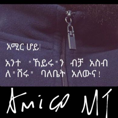 Amir Mohammed Profile Picture