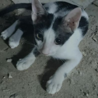 ME8_7W Profile Picture