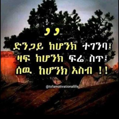 hayat mohammed Profile Picture