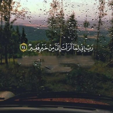 أحمد أبو كرم