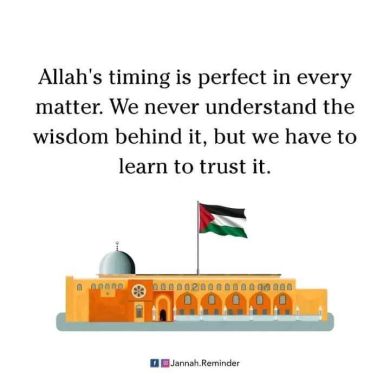 Jemal  Ali Profile Picture