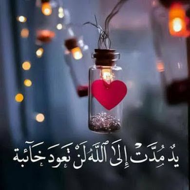 umm Ammar Profile Picture