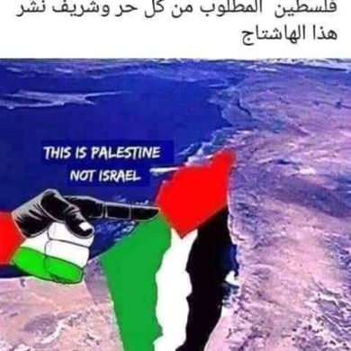 Muhammed nasir haji Profile Picture