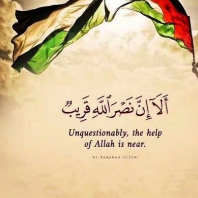 Ahmed HUSSEN Profile Picture