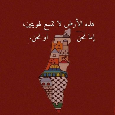 Palestine512 Profile Picture