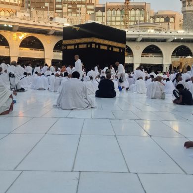 Amir Sherefa Profile Picture