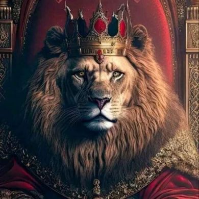 Amr Mokhtar Profile Picture