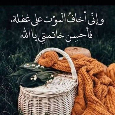 Husniya Muhammed Profile Picture