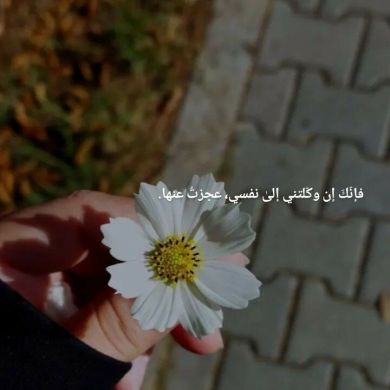 umma1697968053 Profile Picture