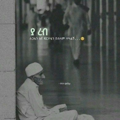 bin seid Profile Picture