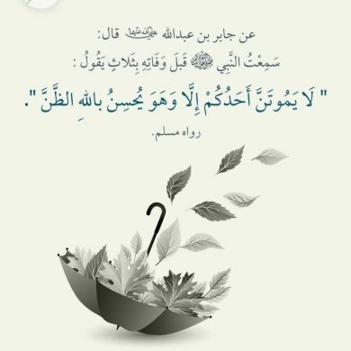 nuryemusa5161 Profile Picture