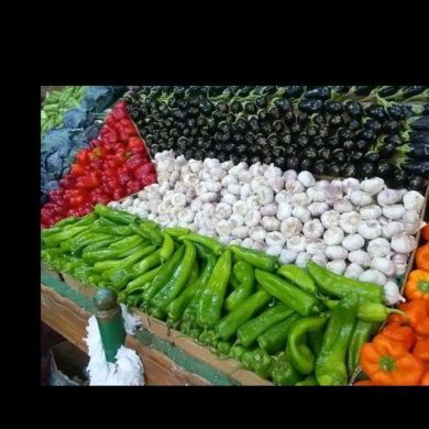 sultan suleyman Profile Picture