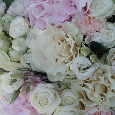 Амина Асильдарова