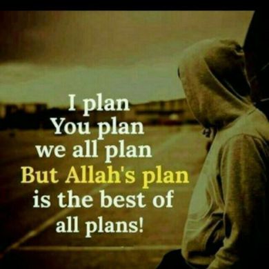 Taju umer Profile Picture