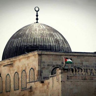 Aisha Aisha Profile Picture