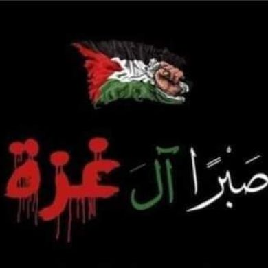 غريبة في وطني Profile Picture