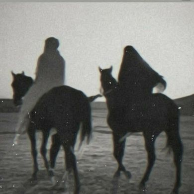 أيوب أبو محمد