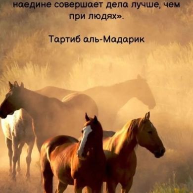 Абдуллаҳ Юсуф Profile Picture