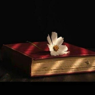 хадижа шамхалова Profile Picture