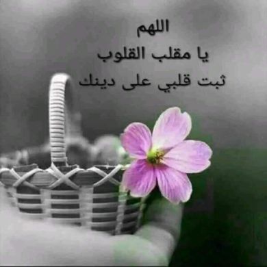 ኣሚራ ቢንት ያሕያ