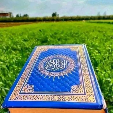 Binzeyneb29 Profile Picture