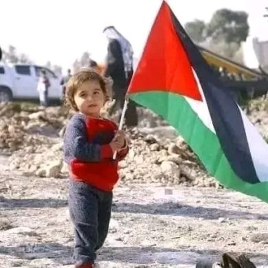 ahmade aman Profile Picture