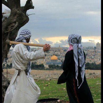 أيوب زروالي Profile Picture