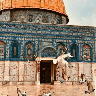 آمال ٱم ٱسيد غفر الله لها Profile Picture