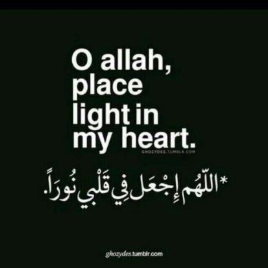 anwar jemal Profile Picture