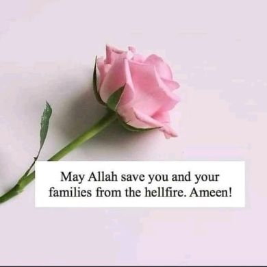 Semira Mohammed Profile Picture