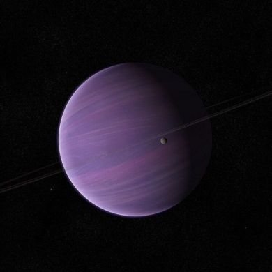 هديل الكيلاني Profile Picture