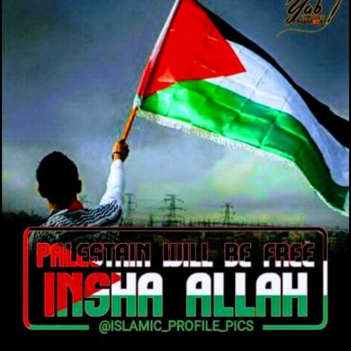 خضر بن ادريس