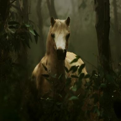 عبد الله الحديدي