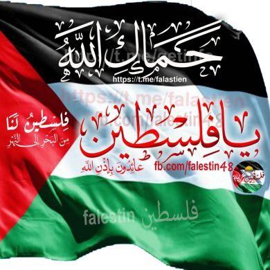 Abdulaziz Seid Profile Picture