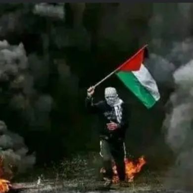 omluq Profile Picture