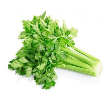 abdulhamid10 Profile Picture