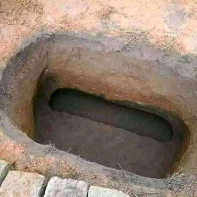 imo imo Profile Picture