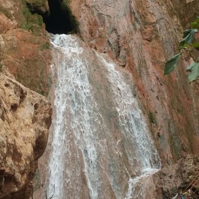 Mohamed Ben Mohamed Profile Picture