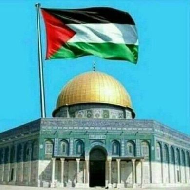 Umma Life Profile Picture