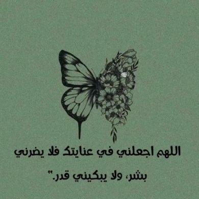 Mariam Maher Profile Picture