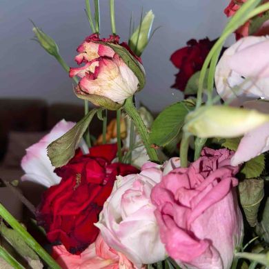 مارية حدادة