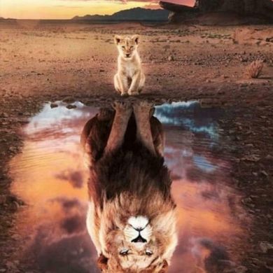 Дженет Алиева