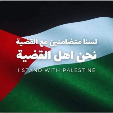 Noura Ehab Profile Picture