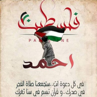 أستاذ احمد Profile Picture