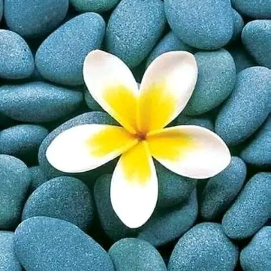 بثينة ۦۦ Profile Picture