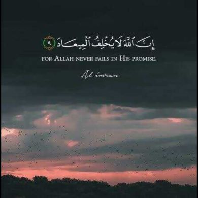 عبدالله البنا ابو الحسن Profile Picture