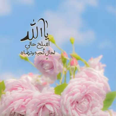 Nada Houda Profile Picture