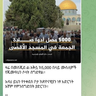 abdulfeta awel Profile Picture