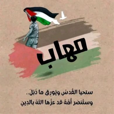 Mohab Elseedy Profile Picture