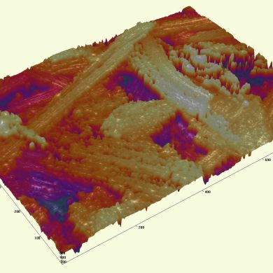 Abu meryem Profile Picture